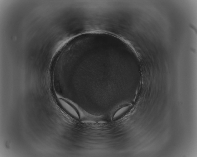 X0000090991319200708241417