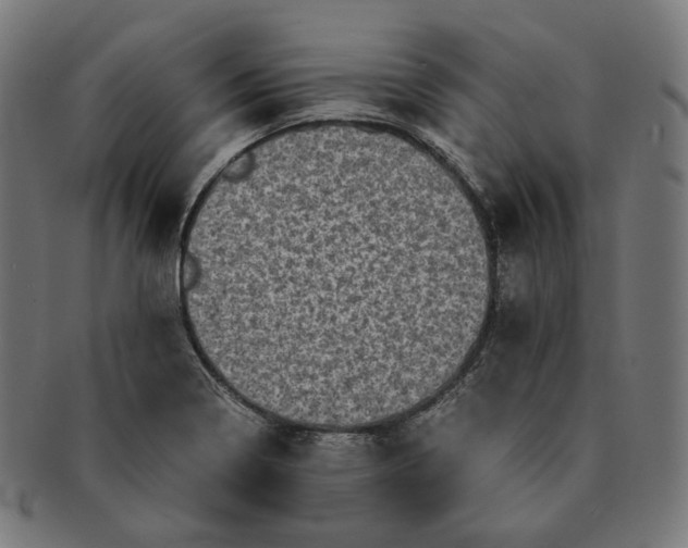 X0000090991322200708241417