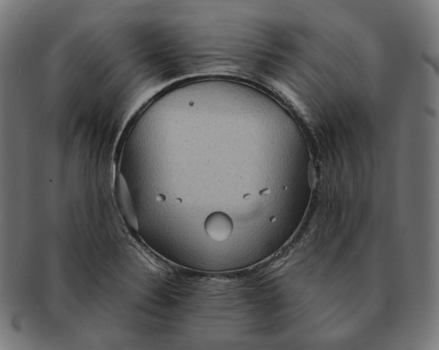 X0000090991324200708241417