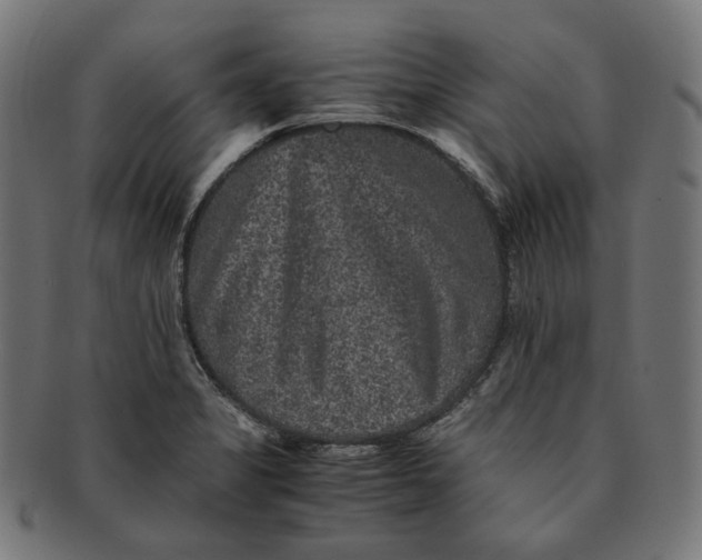 X0000090991325200708241417