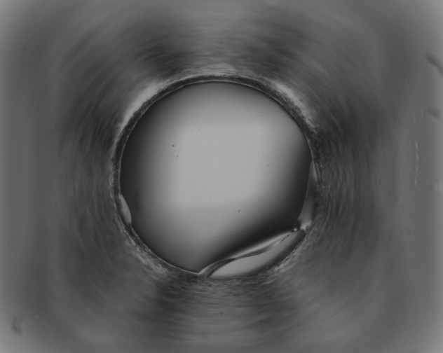 X0000090991326200708241417