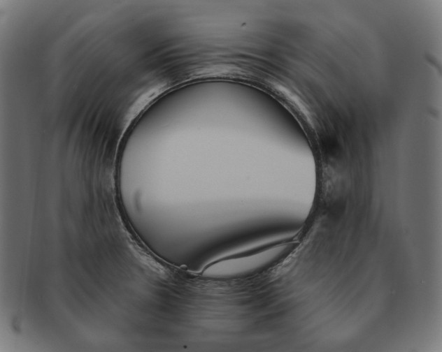 X0000090991330200708241417