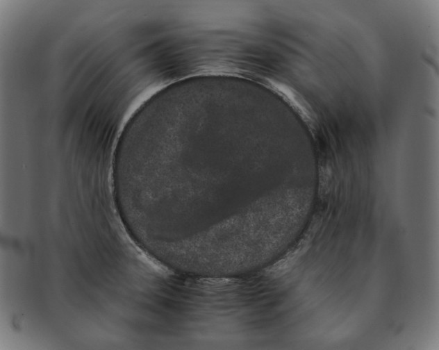 X0000090991331200708241417