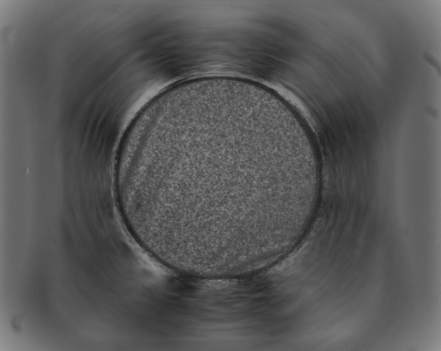 X0000090991333200708241417