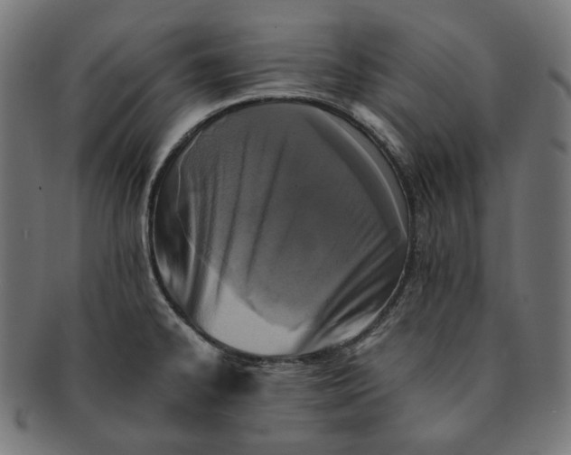 X0000090991334200708241417