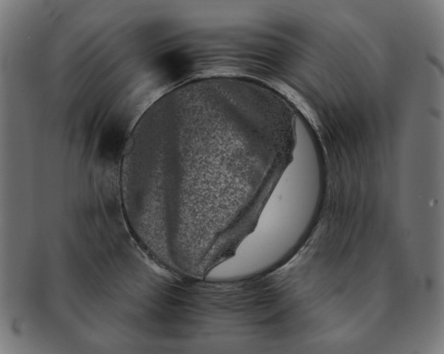 X0000090991337200708241417