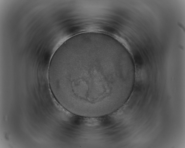 X0000090991338200708241417