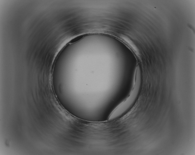 X0000090991340200708241417