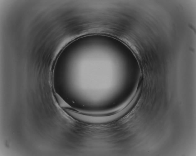 X0000090991342200708241417