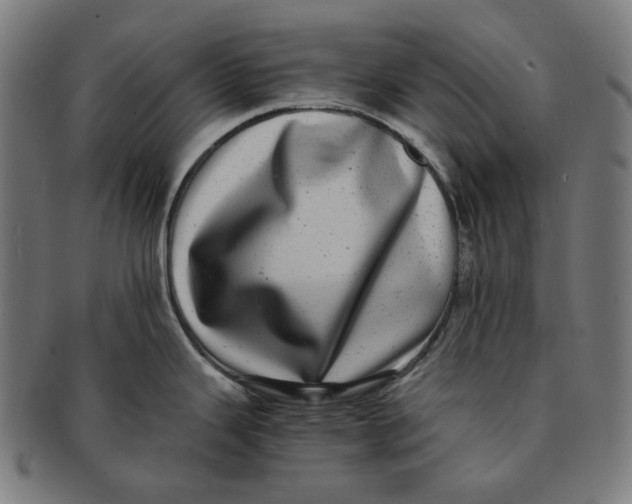 X0000090991343200708241417