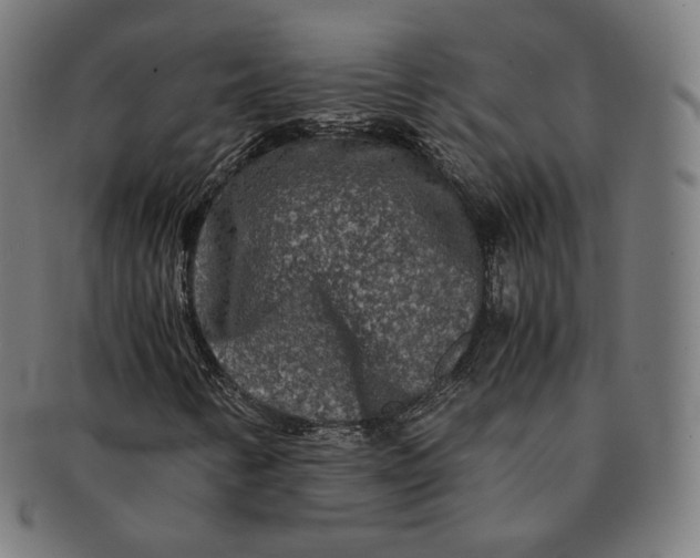 X0000090991346200708241416