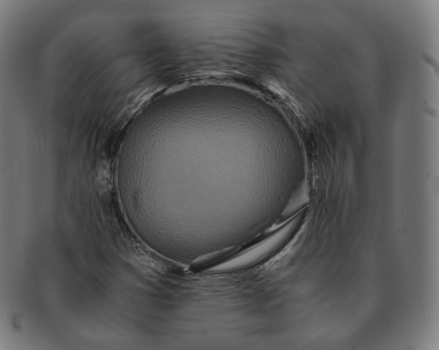 X0000090991353200708241416