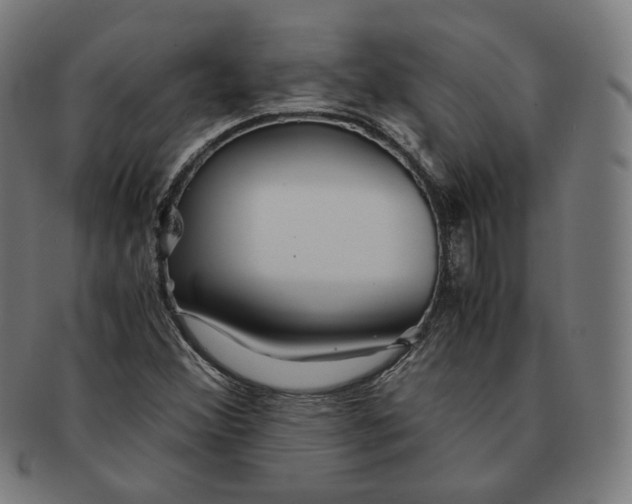 X0000090991356200708241416