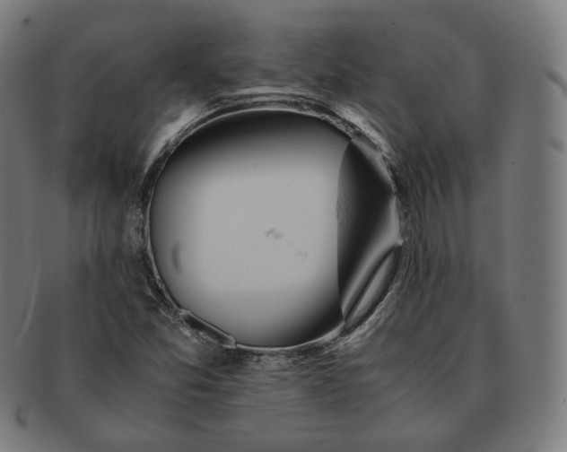 X0000090991357200708241416