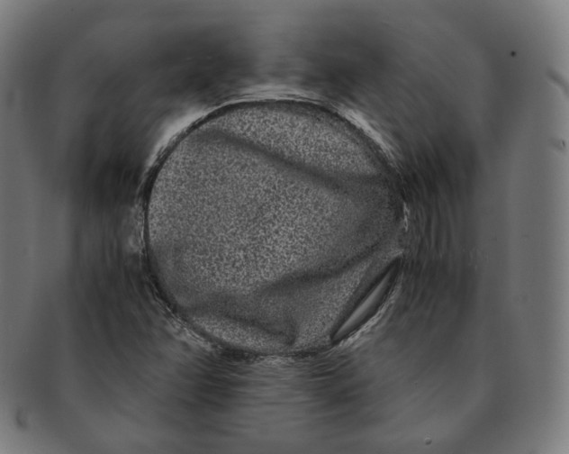 X0000090991358200708241416