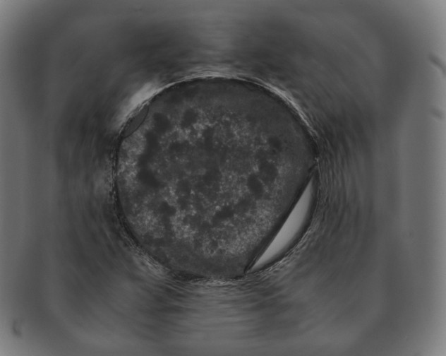 X0000090991359200708241416