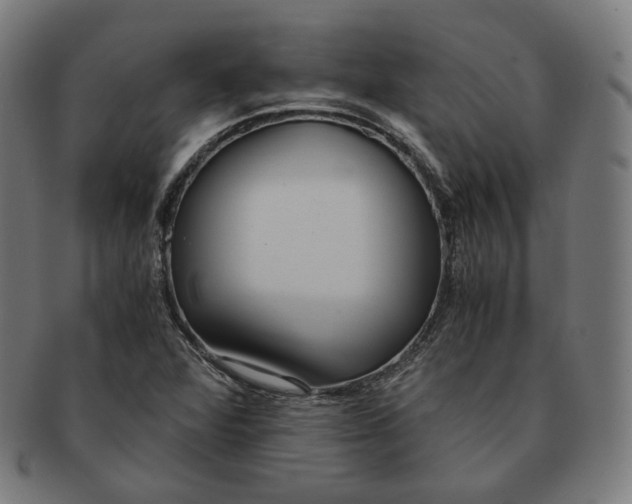 X0000090991360200708241416