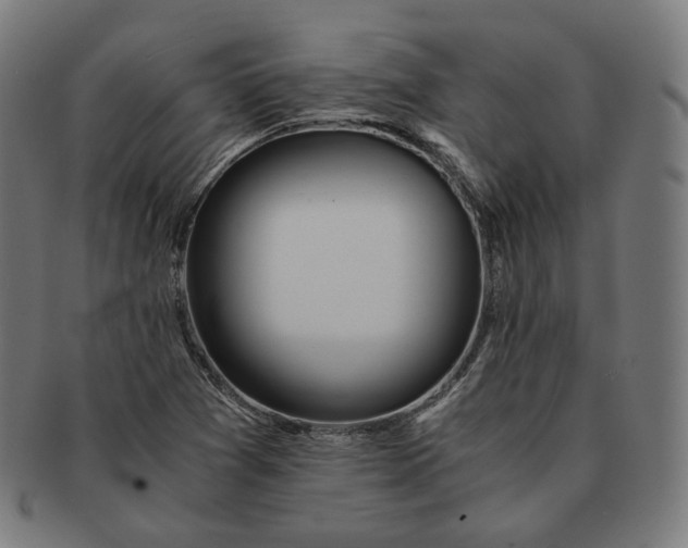 X0000090991361200708241416