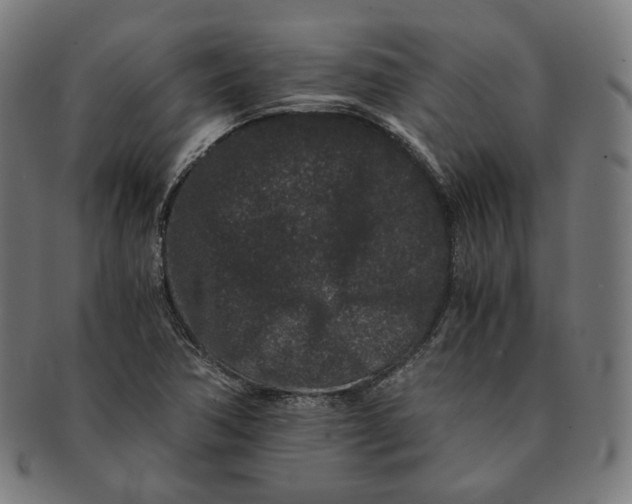 X0000090991362200708241416