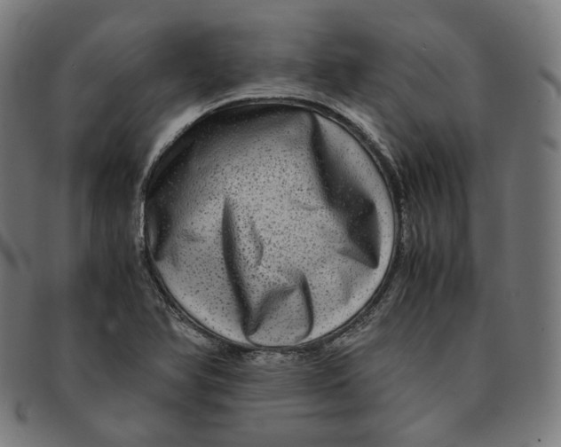 X0000090991366200708241416