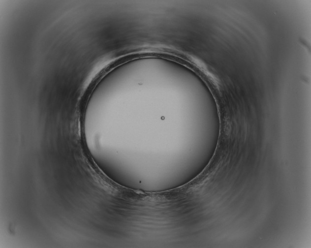 X0000090991368200708241416