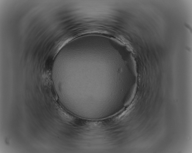 X0000090991369200708241416