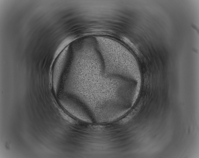 X0000090991370200708241416