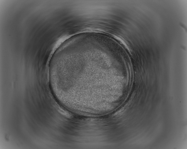 X0000090991371200708241416