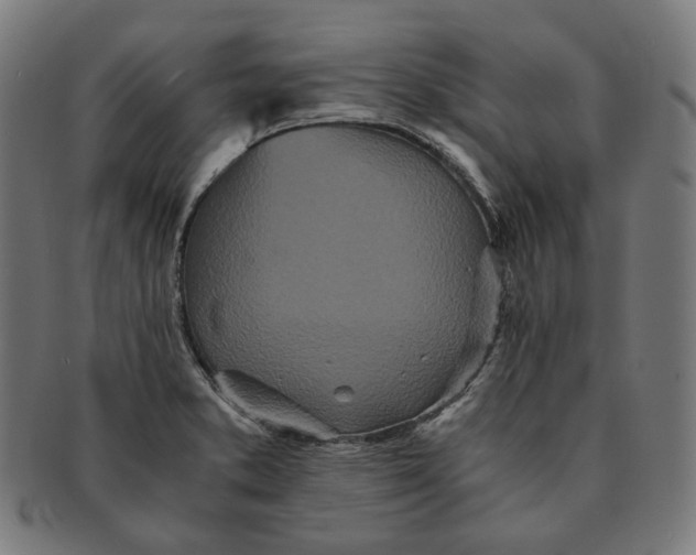 X0000090991373200708241416