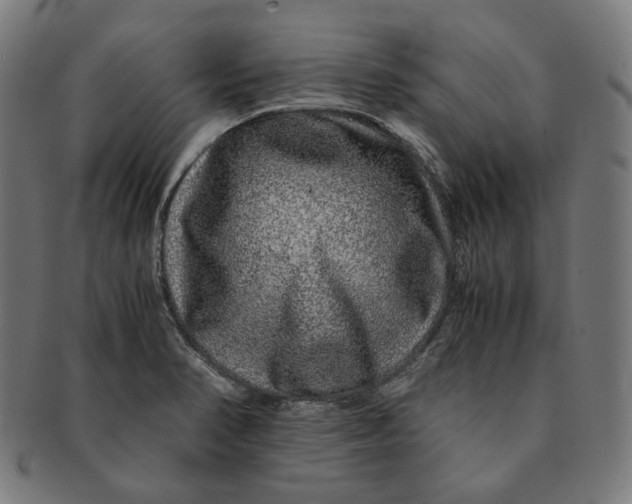 X0000090991374200708241416