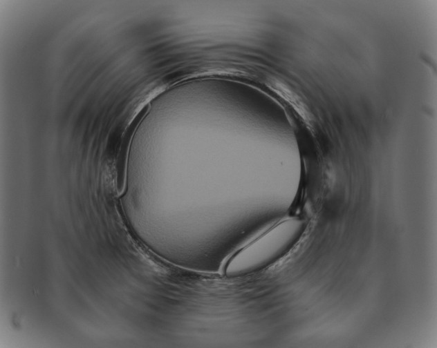 X0000090991377200708241416