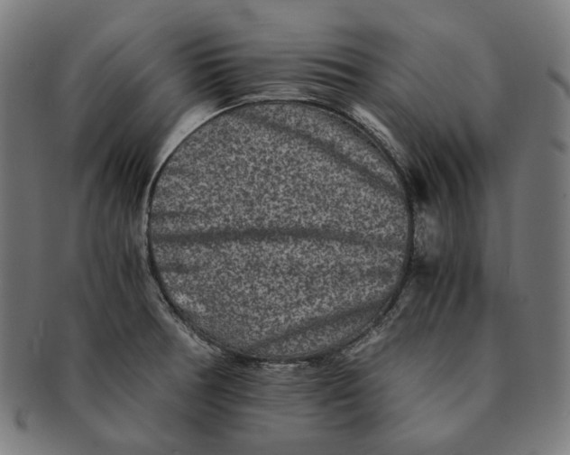 X0000090991378200708241416