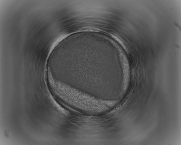 X0000090991379200708241416