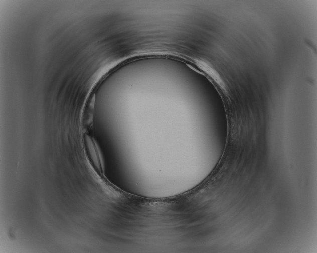 X0000090991380200708241416