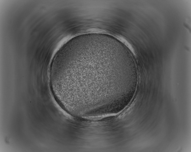 X0000090991381200708241416