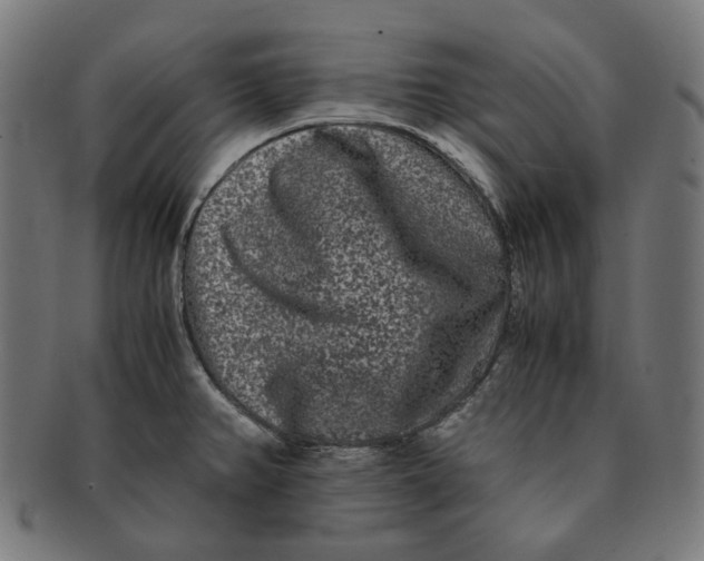 X0000090991382200708241416