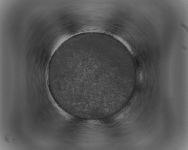 X0000090991383200708241416