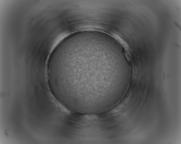 X0000090991384200708241416