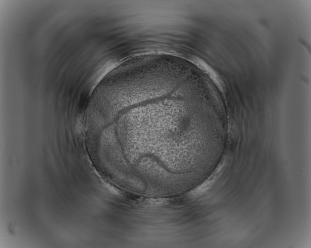 X0000090991385200708241416