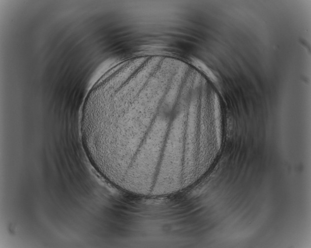 X0000090991386200708241416