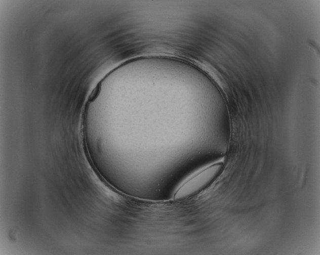 X0000090991387200708241416