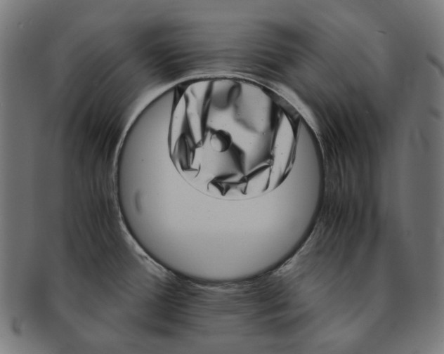 X0000090991388200708241416