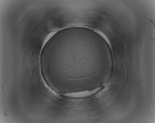 X0000090991389200708241416