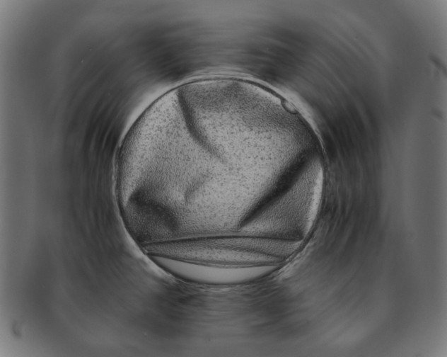 X0000090991390200708241416