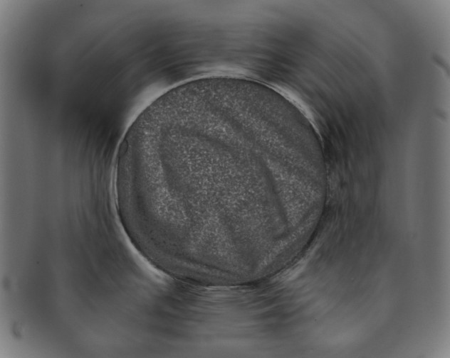 X0000090991391200708241416