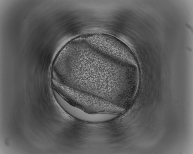 X0000090991392200708241416