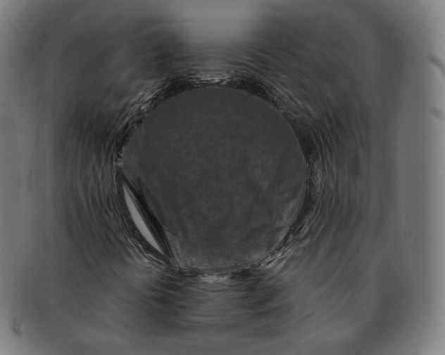 X0000090991394200708241415