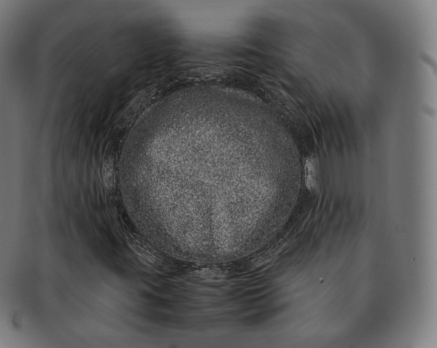 X0000090991395200708241415