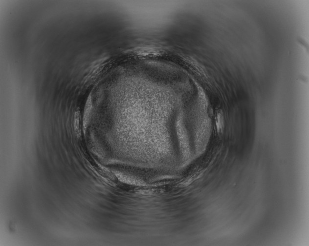 X0000090991396200708241415