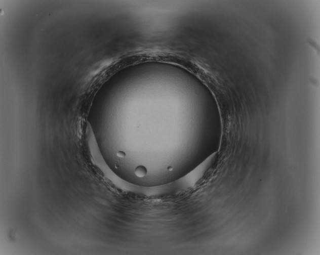 X0000090991398200708241415